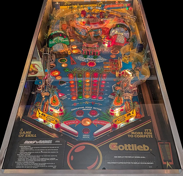 Surf 'n Safari playfield