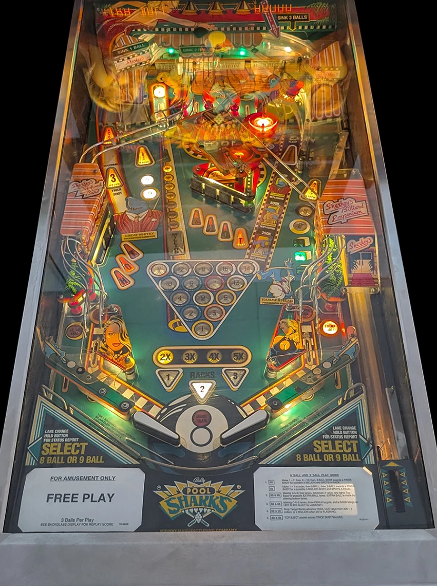 Pool Sharks playfield