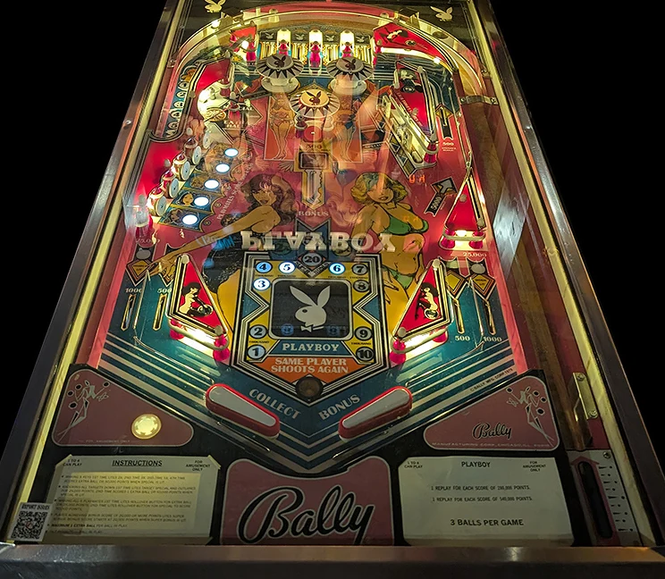 Playboy playfield